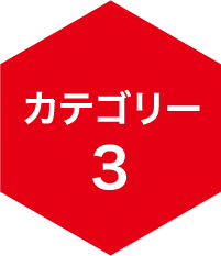 カテゴリー3
