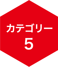カテゴリー5